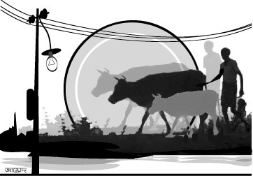 রামগঞ্জে বিদ্যুতের ভয়াবহ লোডশেডিং ও প্রচণ্ড গরমে অতীষ্ট জনজীবন,জেলায় আজকের তাপমাত্রা ৪৪ ডিগ্রি সেলসিয়াস